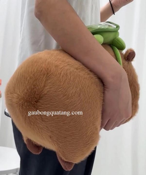 capybara gau bong deo balo rua tai hcm